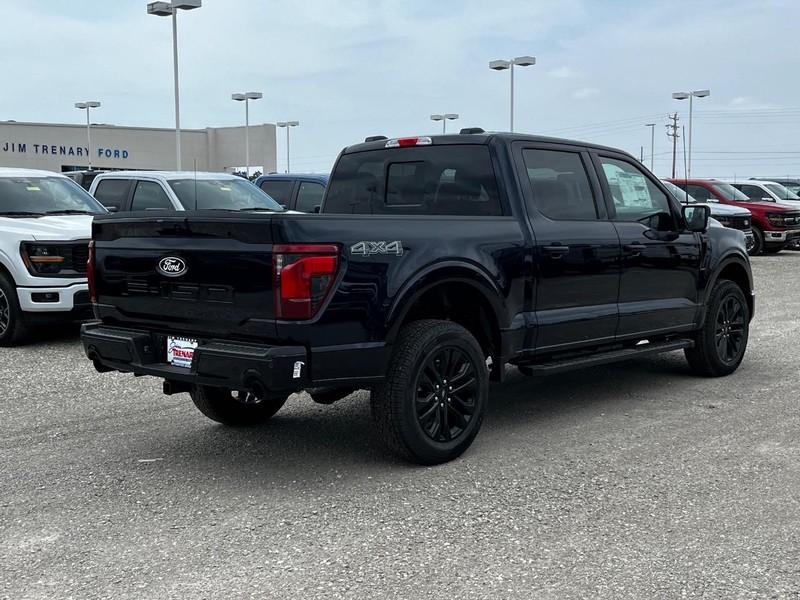Ford F-150 Vehicle Image 03