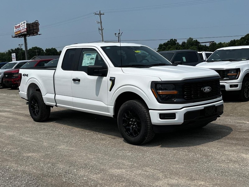 Ford F-150 Vehicle Image 02