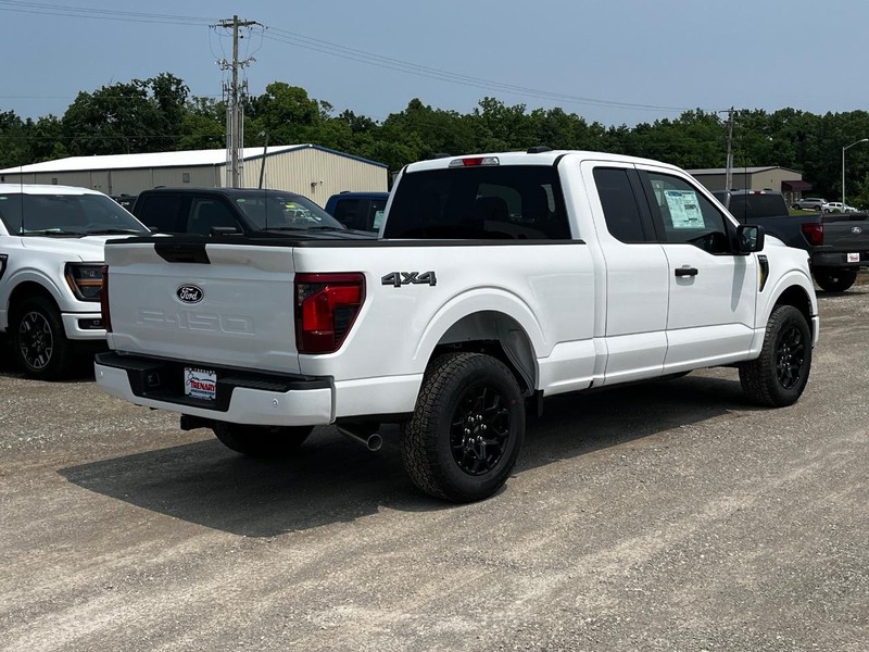 Ford F-150 Vehicle Image 03