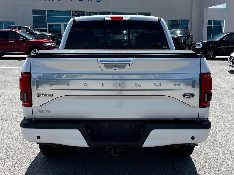 Ford F-150 Vehicle Image 04