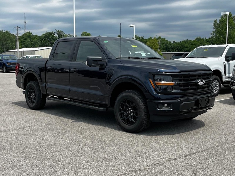 Ford F-150 Vehicle Image 02
