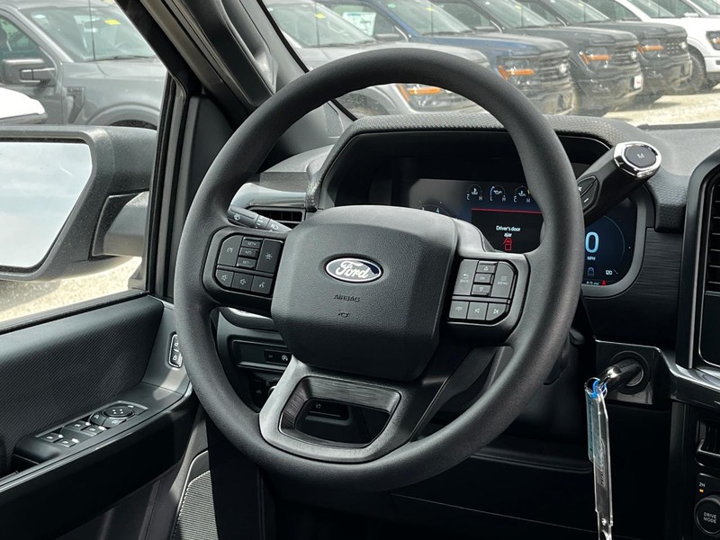 Ford F-150 Vehicle Image 06