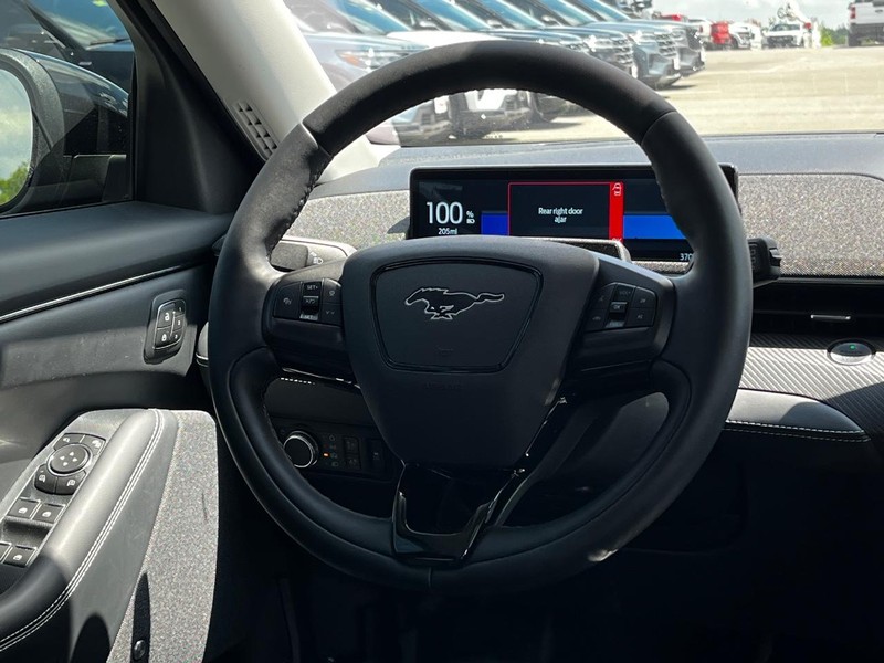 Ford Mustang Mach-E Vehicle Image 13
