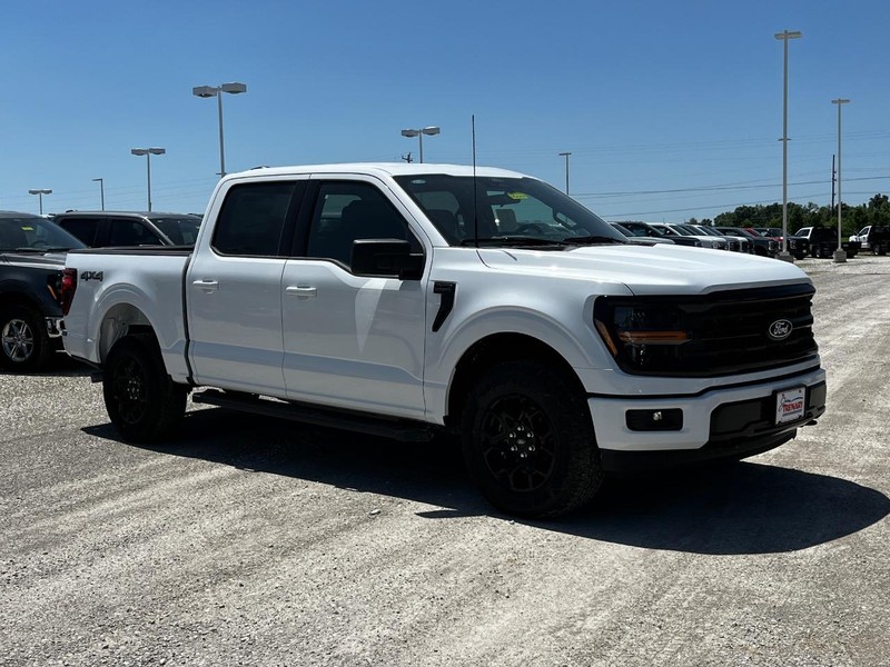 Ford F-150 Vehicle Image 02