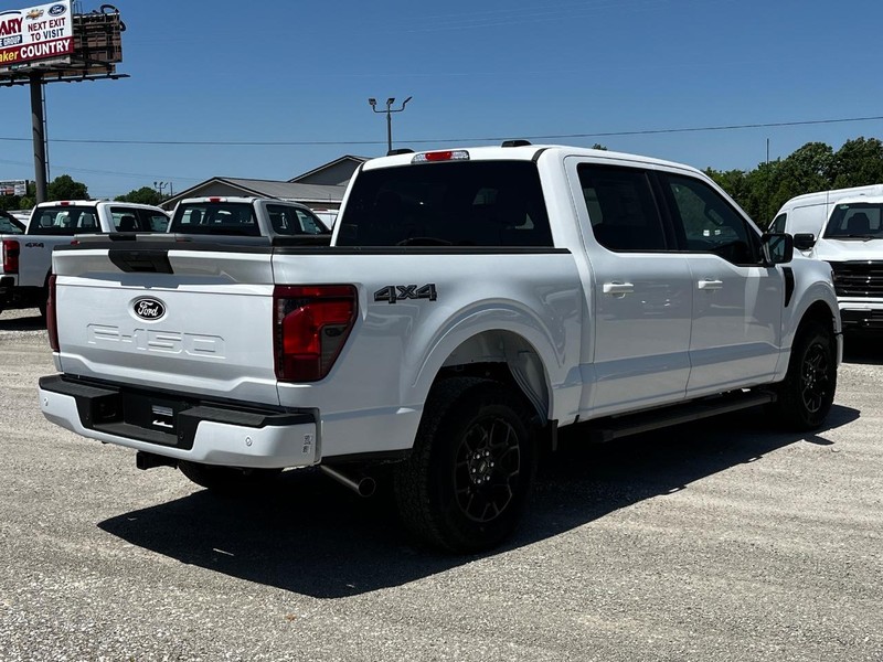 Ford F-150 Vehicle Image 03