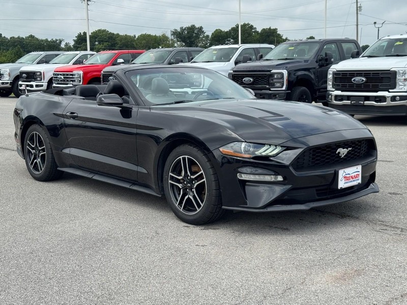 Ford Mustang Vehicle Image 02