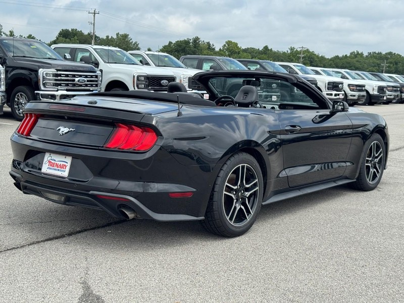 Ford Mustang Vehicle Image 03
