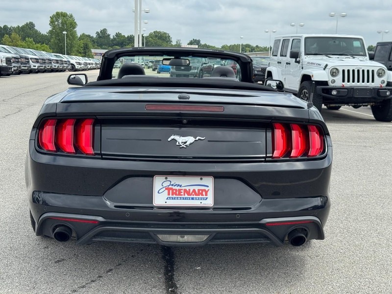 Ford Mustang Vehicle Image 04