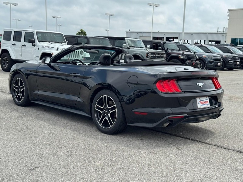 Ford Mustang Vehicle Image 05