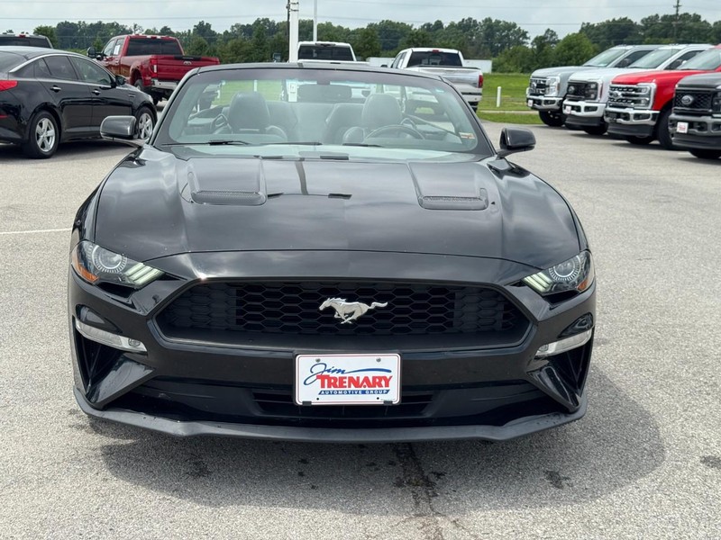 Ford Mustang Vehicle Image 08