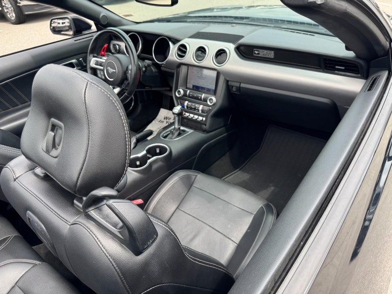 Ford Mustang Vehicle Image 10