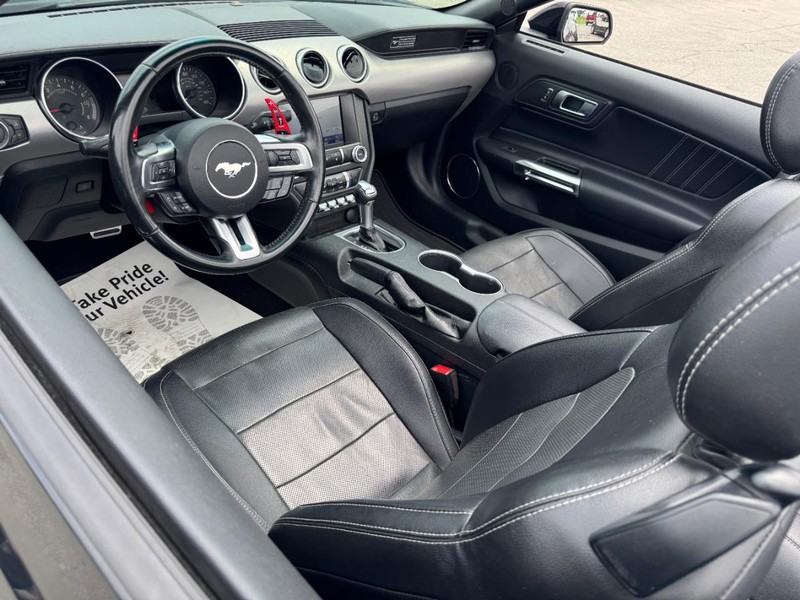Ford Mustang Vehicle Image 11
