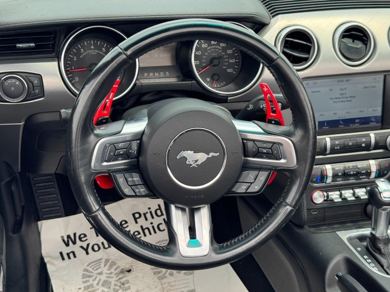 Ford Mustang Vehicle Image 12