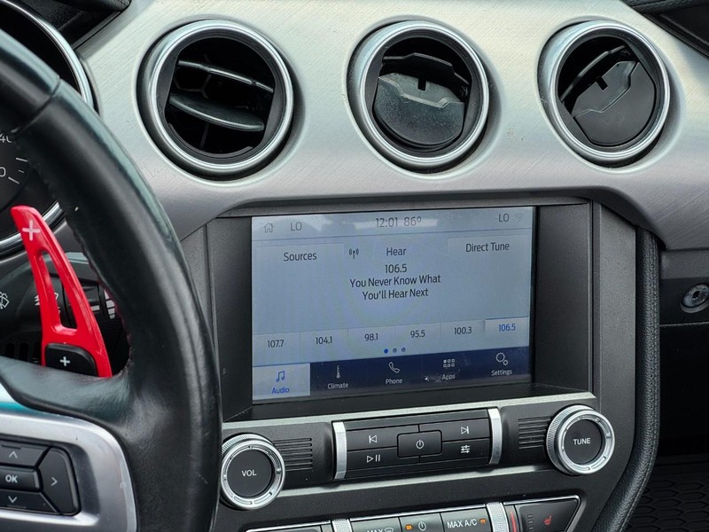 Ford Mustang Vehicle Image 13