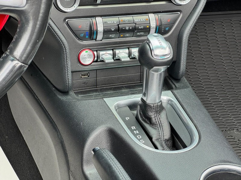 Ford Mustang Vehicle Image 14