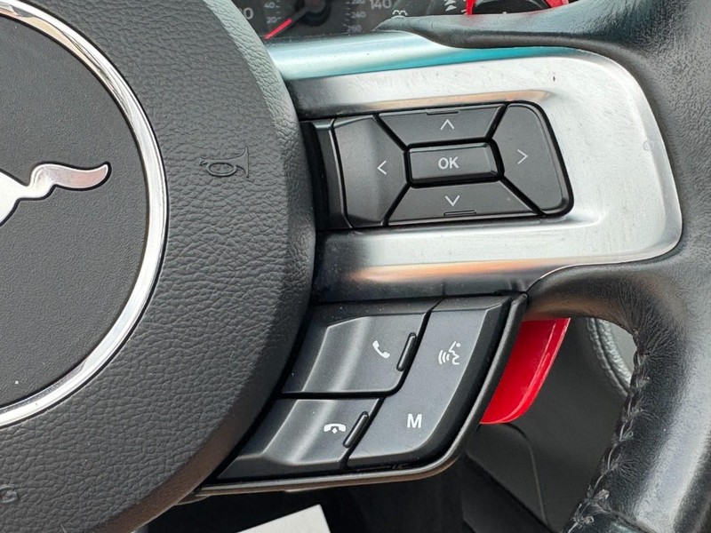 Ford Mustang Vehicle Image 18