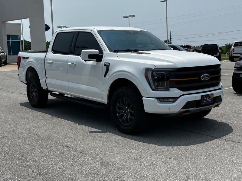 Ford F-150 Vehicle Image 02