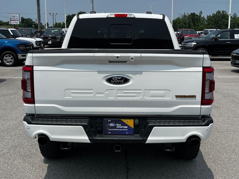 Ford F-150 Vehicle Image 04