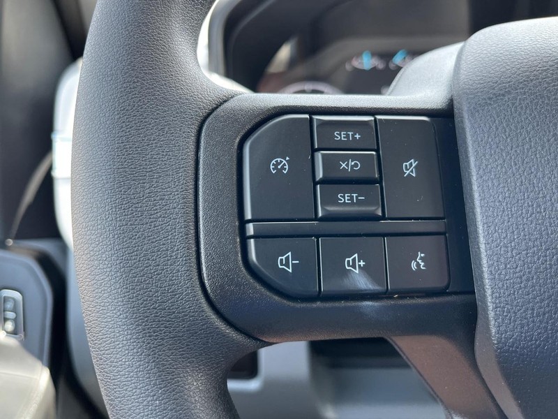 Ford Super Duty F-250 SRW Vehicle Image 09