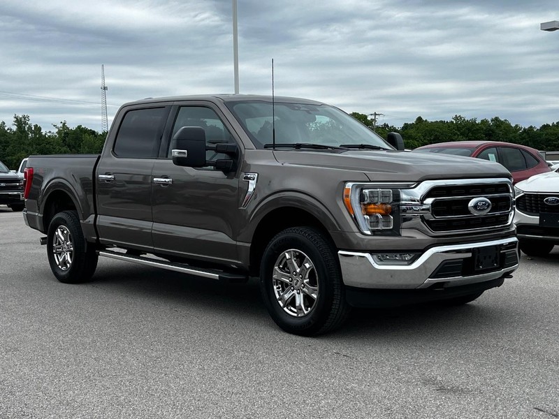 Ford F-150 Vehicle Image 02