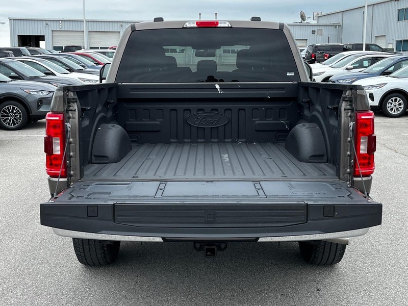 Ford F-150 Vehicle Image 05