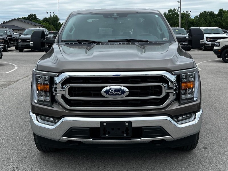 Ford F-150 Vehicle Image 09