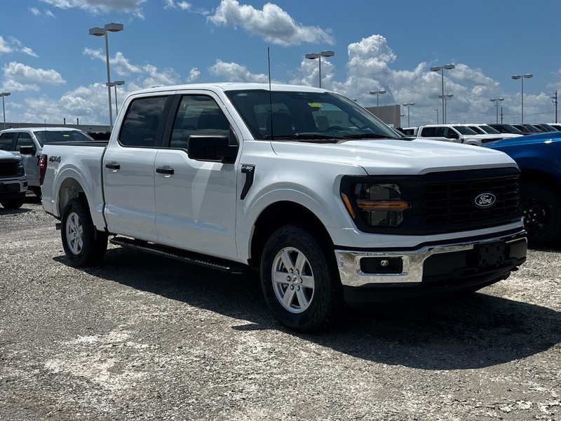 Ford F-150 Vehicle Image 02
