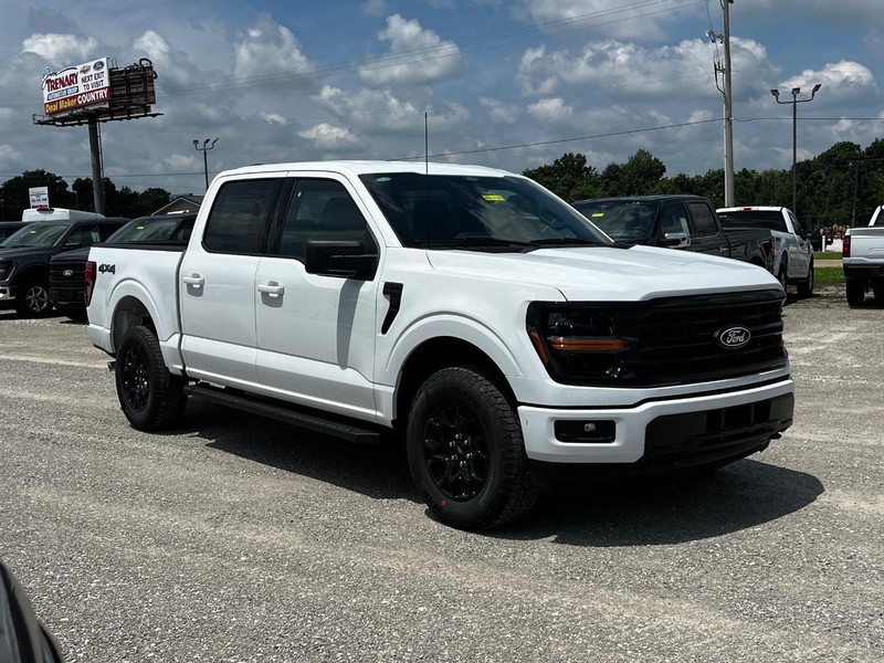 Ford F-150 Vehicle Image 02