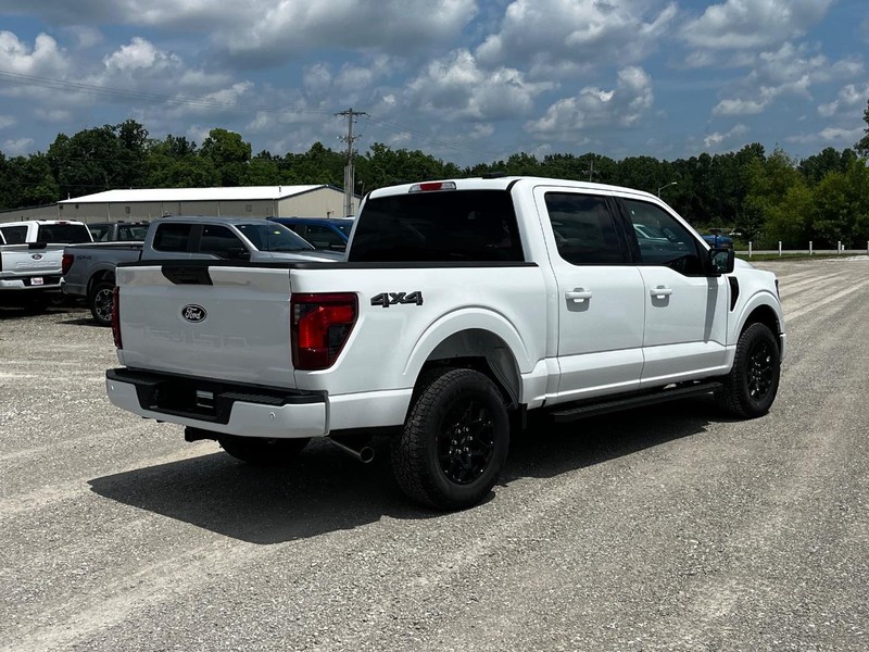Ford F-150 Vehicle Image 03