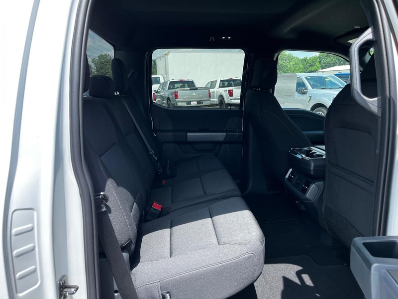 Ford F-150 Vehicle Image 04