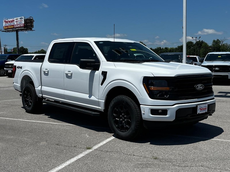 Ford F-150 Vehicle Image 02