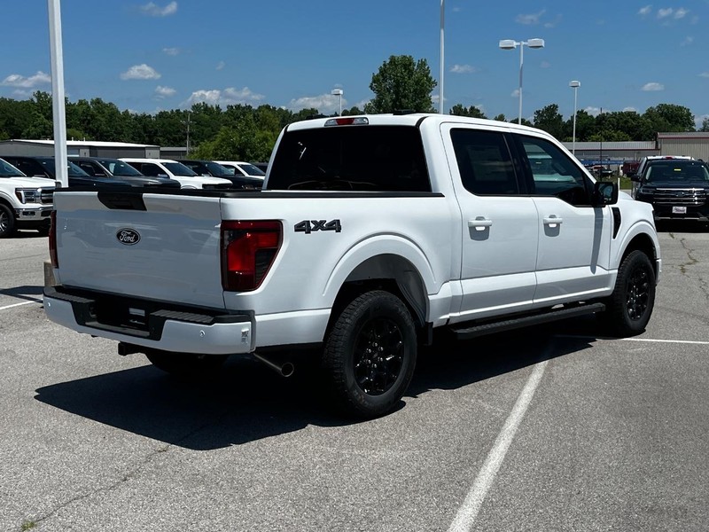 Ford F-150 Vehicle Image 03