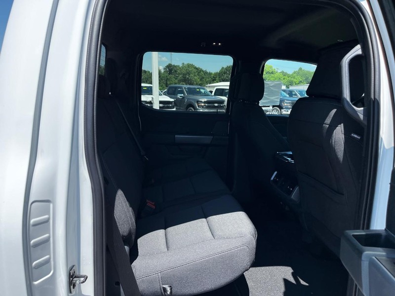 Ford F-150 Vehicle Image 04