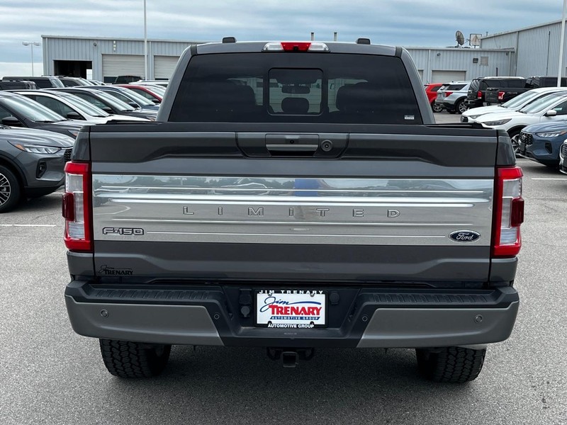 Ford F-150 Vehicle Image 04