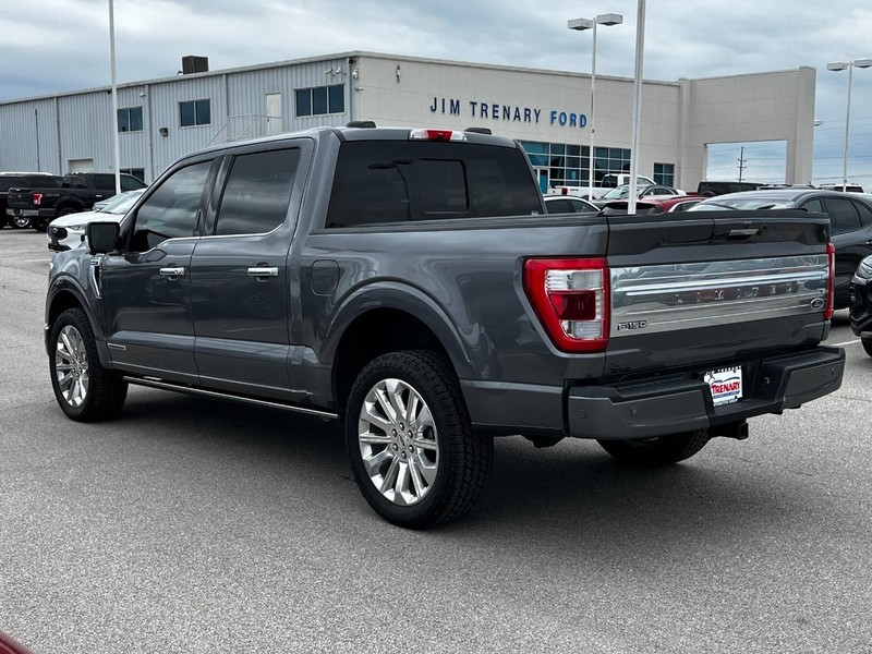 Ford F-150 Vehicle Image 06