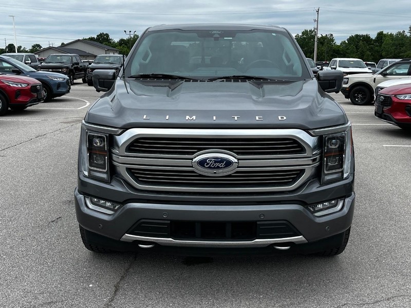 Ford F-150 Vehicle Image 09