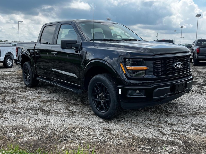 Ford F-150 Vehicle Image 02