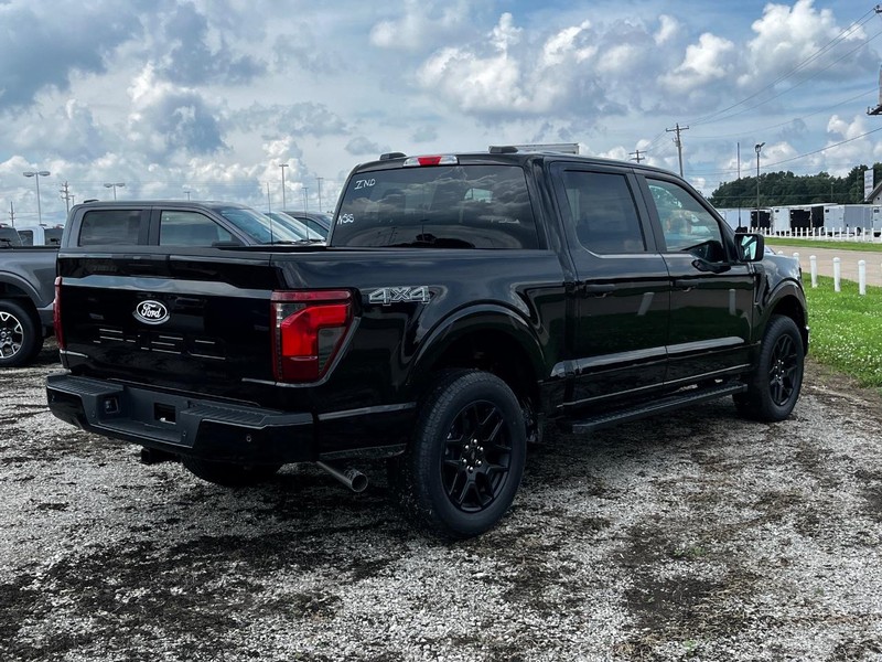 Ford F-150 Vehicle Image 03