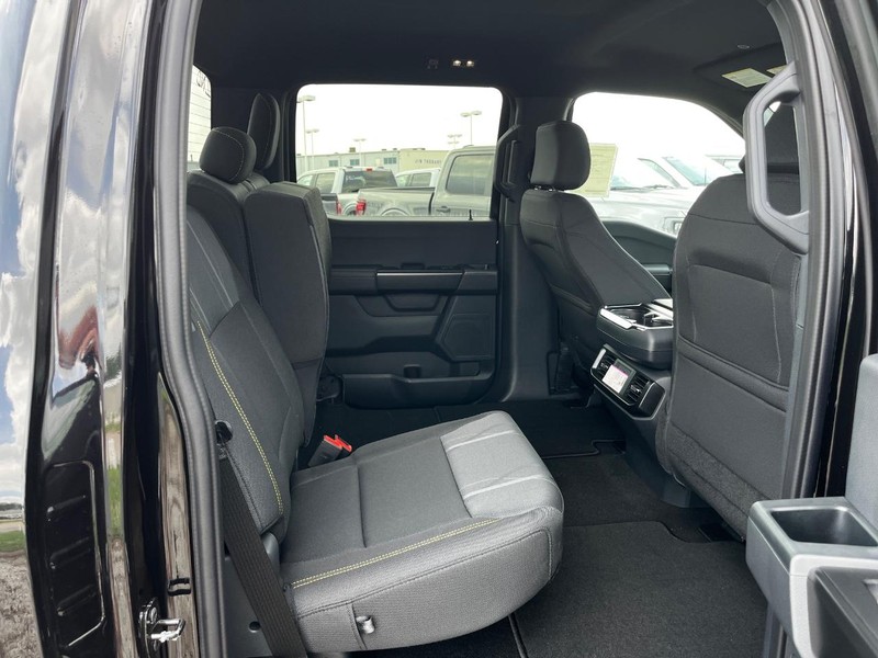 Ford F-150 Vehicle Image 04
