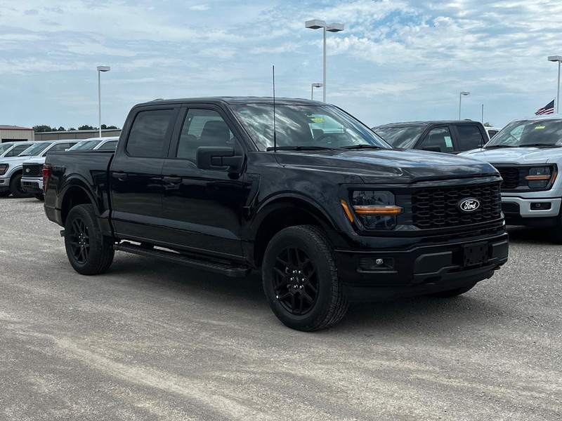 Ford F-150 Vehicle Image 02