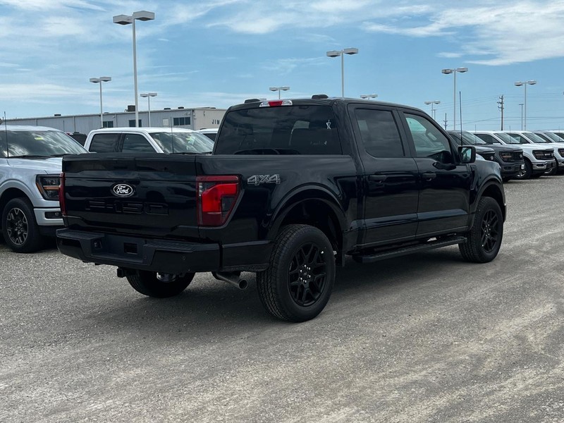 Ford F-150 Vehicle Image 03