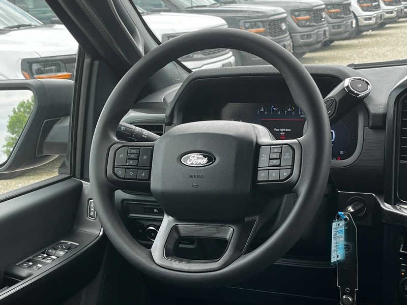 Ford F-150 Vehicle Image 06