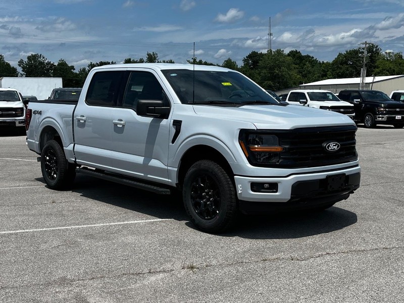 Ford F-150 Vehicle Image 02