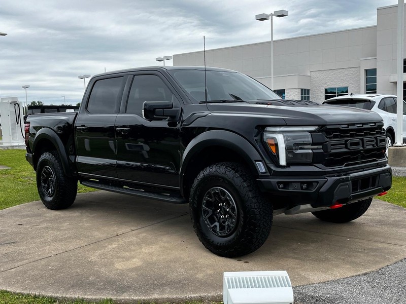 Ford F-150 Vehicle Image 02
