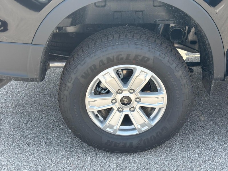 Ford Ranger Vehicle Image 04