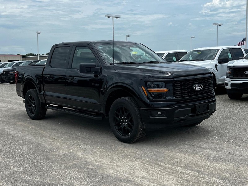 Ford F-150 Vehicle Image 02