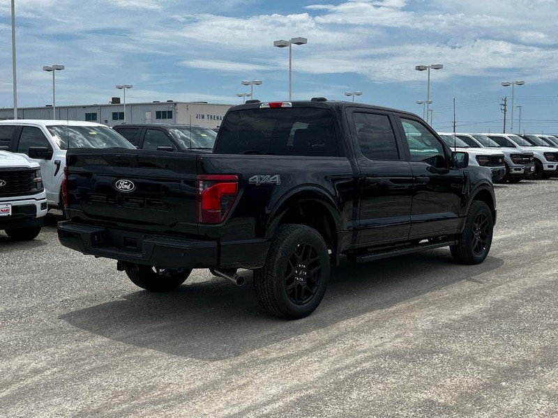Ford F-150 Vehicle Image 03
