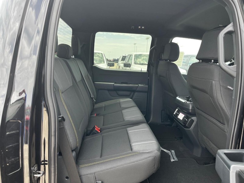 Ford F-150 Vehicle Image 04