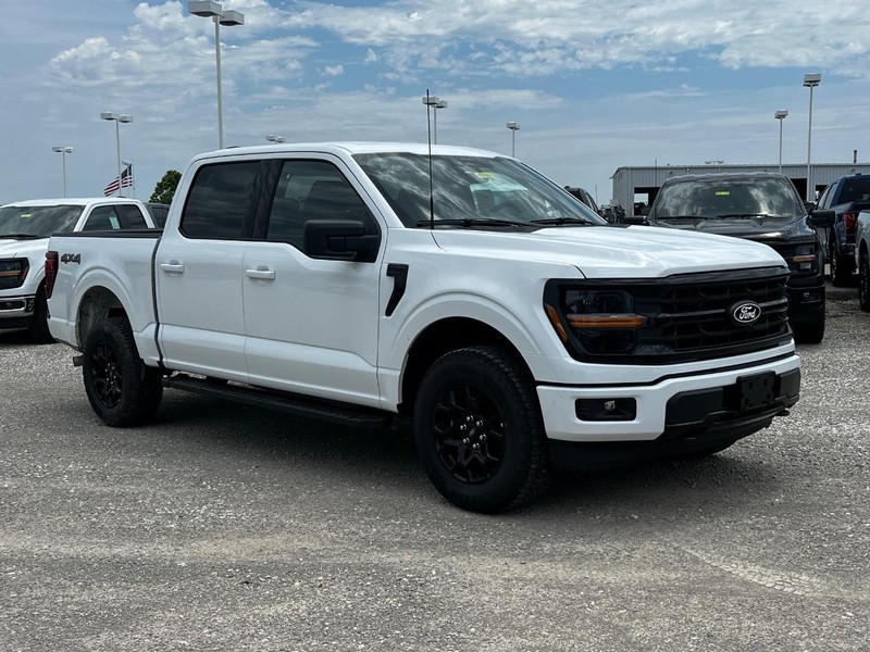 Ford F-150 Vehicle Image 02