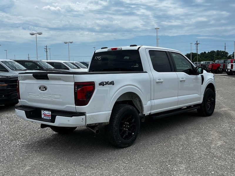 Ford F-150 Vehicle Image 03